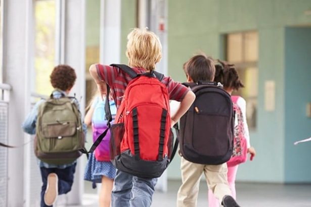 Excursiile in strainatate organizate in cadrul programelor Scoala altfel si Saptamana verde nu sunt interzise Care sunt conditiile in care pot fi aprobate
