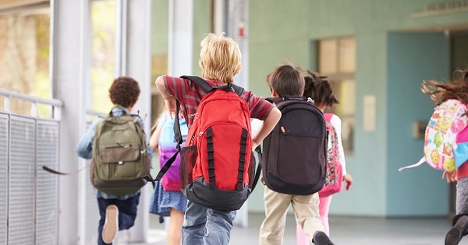 Excursiile in strainatate organizate in cadrul programelor Scoala altfel si Saptamana verde nu sunt interzise Care sunt conditiile in care pot fi aprobate