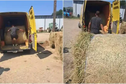 Foto Baloti de lucerna furati din comuna Farau de catre 3 persoane din judetul Sibiu Faptasii au fost suprinsi de sistemul de supraveghere video
