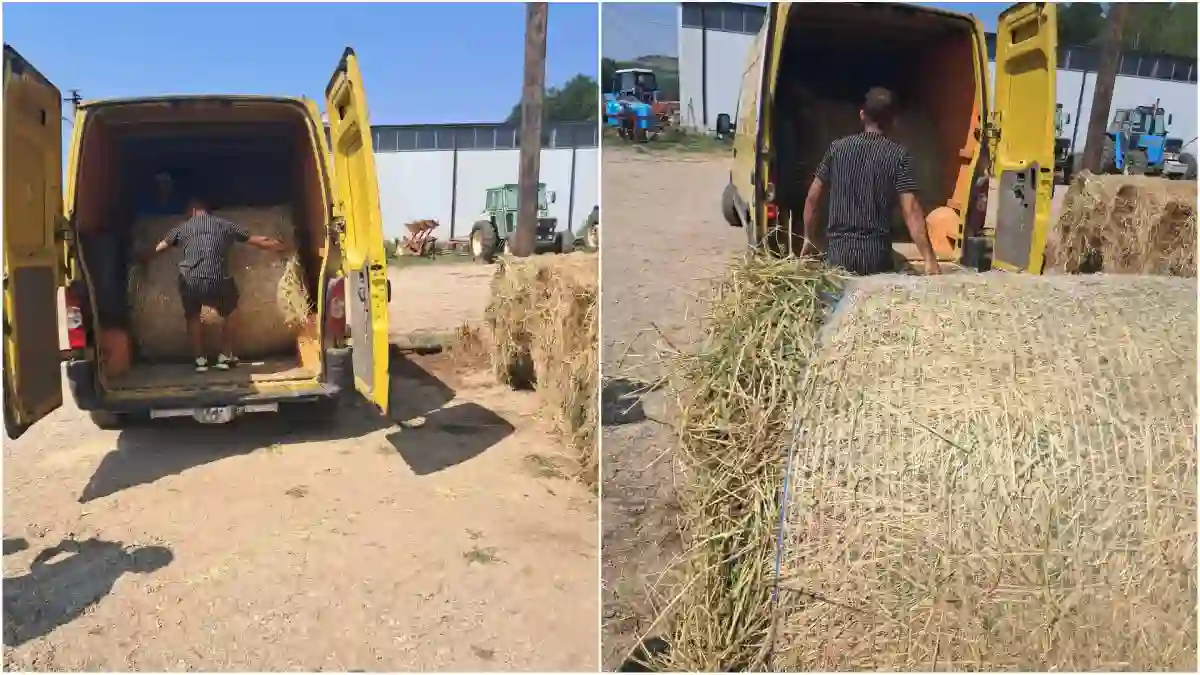 Foto Baloti de lucerna furati din comuna Farau de catre 3 persoane din judetul Sibiu Faptasii au fost suprinsi de sistemul de supraveghere video