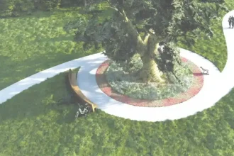Foto Investitie de peste 1 5 milioane de lei pentru o padure urbana in Sebes 10 000 de metri patrati de spatiu verde amenajati in sudul Parcului Arini