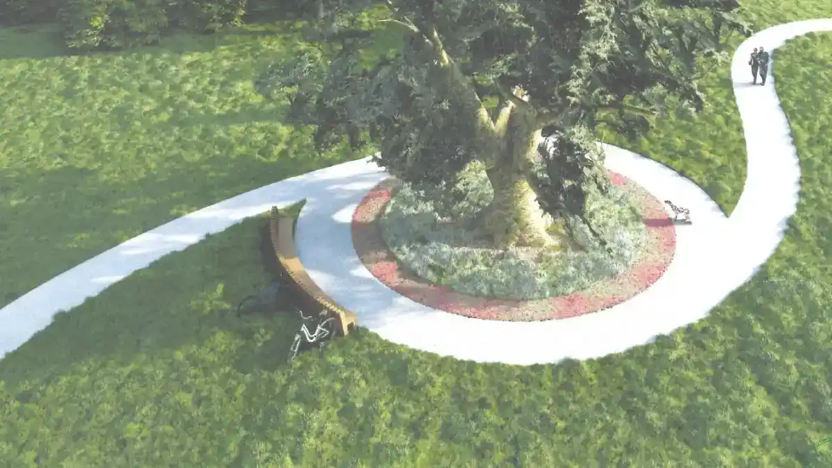Foto Investitie de peste 1 5 milioane de lei pentru o padure urbana in Sebes 10 000 de metri patrati de spatiu verde amenajati in sudul Parcului Arini