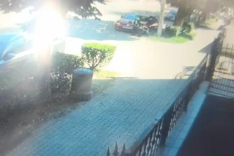 Foto Stirea ta Masina deteriorata in Alba Iulia dupa lucrari de intretinere a spatiului verde Bataie de joc sau lipsa de competenta