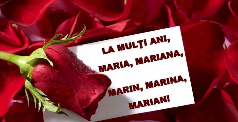 Mesaje de Sfanta Maria Mare 2026 URARI si FELICITARI pentru cei sarbatoriti de Adormirea Maicii Domnului