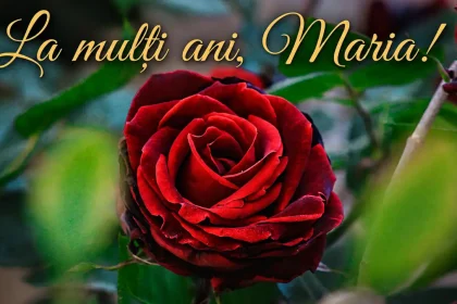 Mesaje si urari de La multi ani cu ocazia Sfintei Maria Felicitari pe care le poti trimite sarbatoritilor pe 15 august