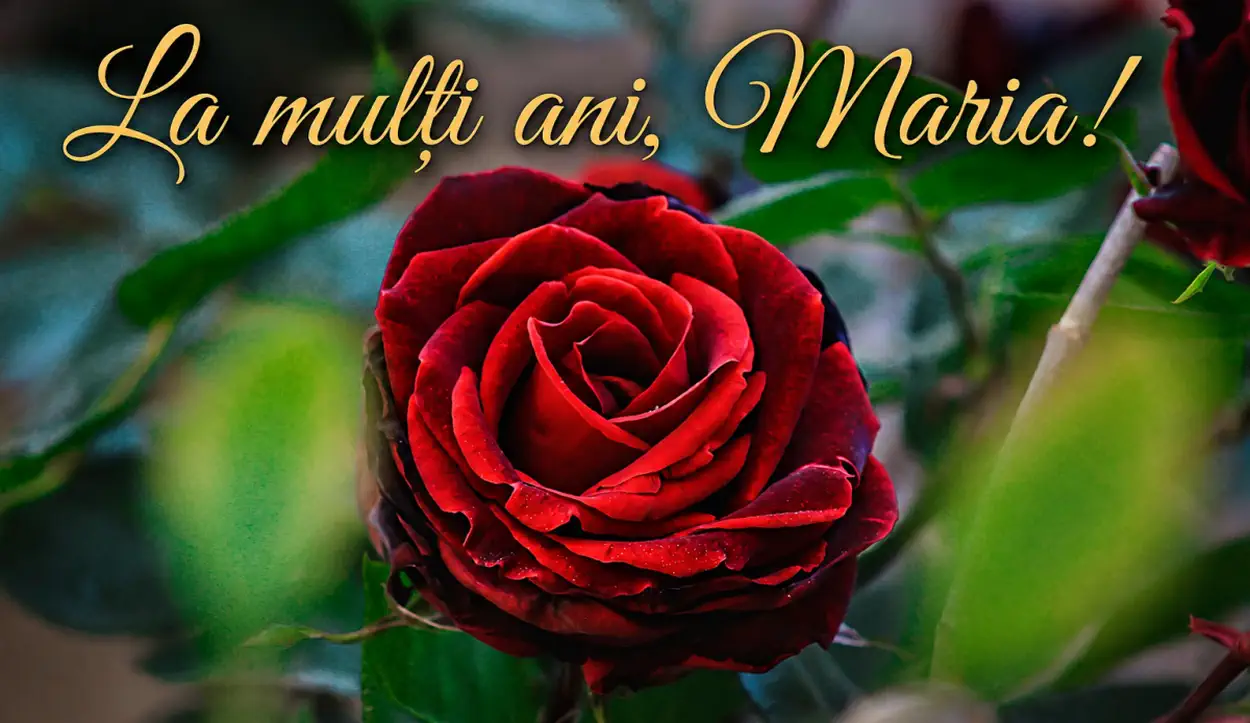 Mesaje si urari de La multi ani cu ocazia Sfintei Maria Felicitari pe care le poti trimite sarbatoritilor pe 15 august
