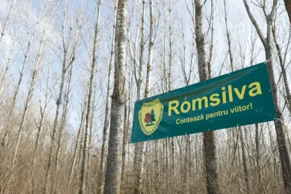 Ministrul interimar al Mediului anunta convocarea de urgena a conducerii Romsilva la minister Care este cauza