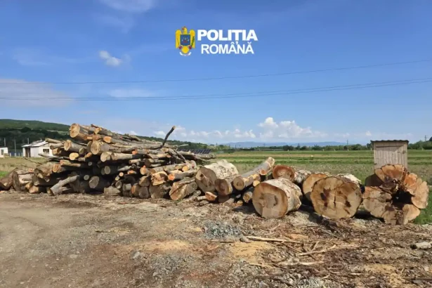 Scutul padurii in Alba Amenzi de aproape 10000 de lei si peste 140 de metri cubi de material lemnos confiscat de politisti