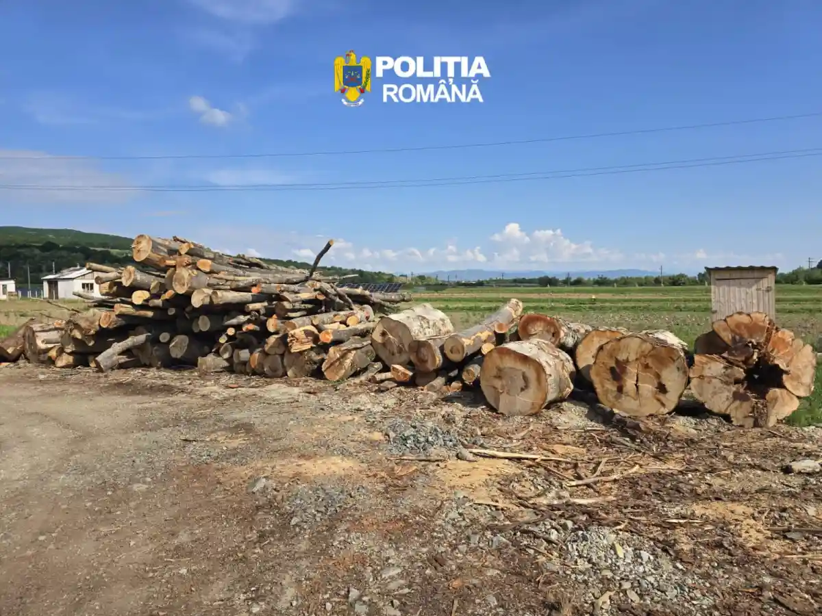 Scutul padurii in Alba Amenzi de aproape 10000 de lei si peste 140 de metri cubi de material lemnos confiscat de politisti
