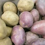 Sprijin pentru fermieri 2026 Schema de minimis pentru sustinerea productiei de cartofi de consum aprobata de Guvern intr o varianta reduse