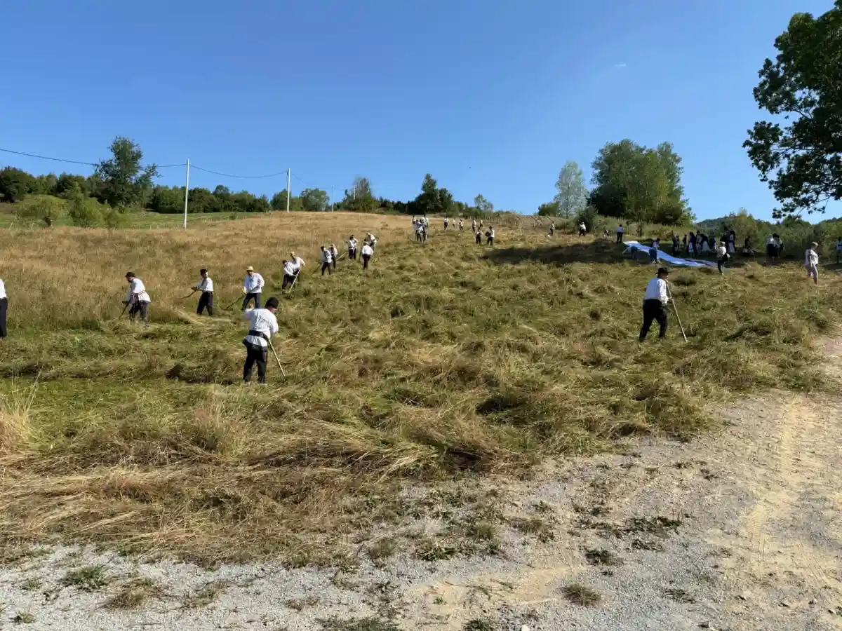 VIDEO Claca la cos un obicei stravechi revigorat intr o comuna din Alba Glasul satului romanesc pastrat in traditiile de altadat ocupatii traditionale muzica si dans popular
