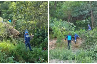 VIDEO Dupa ce in aceasta iarna 50000 de familii din Apuseni au ramas fara curent electricienii isi fac vara sanie Interventie de curatare a vegetatiei in apropierea liniilor electrice