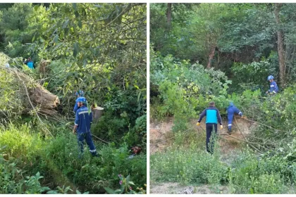 VIDEO Dupa ce in aceasta iarna 50000 de familii din Apuseni au ramas fara curent electricienii isi fac vara sanie Interventie de curatare a vegetatiei in apropierea liniilor electrice