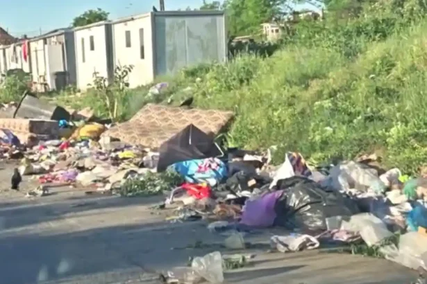 VIDEO Focarul de hepatita A din cartierul Lumea Noua Alba Iulia Medic de familie Indiferent de ce le am spus nu au dorit sa ii vaccineze Acum intreaba daca acesta este suficient sau daca mai au nevoie de alte vaccinuri