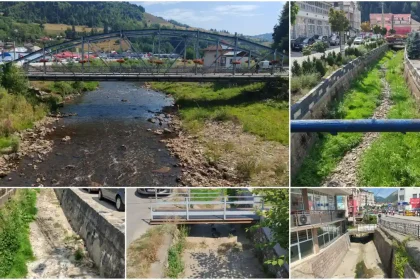 VIDEO STIREA TA Paraurile din Campeni au secat Ariestul cu un debit foarte scazut din cauza lipsa precipitatiilor