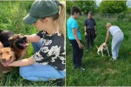 foto peste 600 de caini adoptati in 2 ani si jumatate alba iulia un model de implicare pentru protectia animalelor viceprimar suntem norocosi si privilegiati