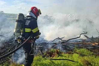incendiu de vegetaie pe o strad din sebe pompierii intervin cu o main de pompieri