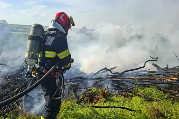 incendiu de vegetaie pe o strad din sebe pompierii intervin cu o main de pompieri