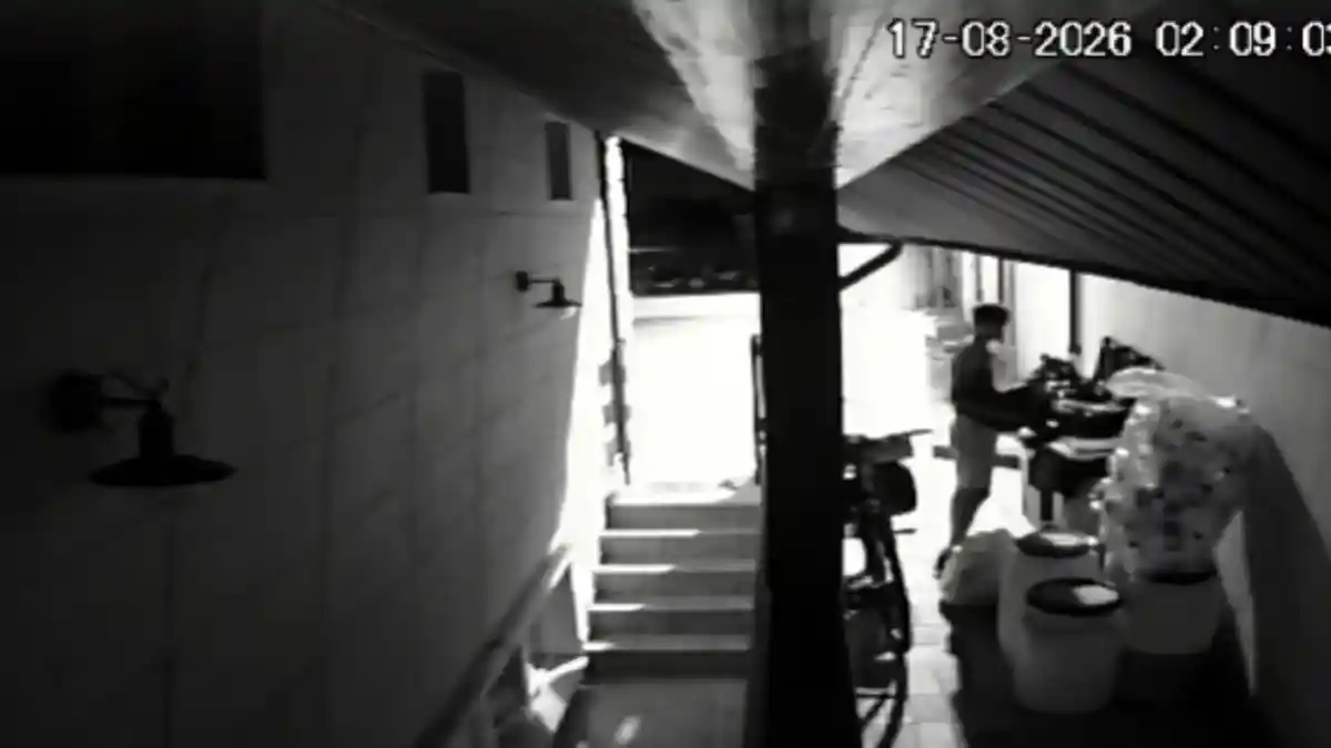 video in timpul noptii anumite persoane patrund in zona pensiunii si fura sticle mesajul unui restaurant din blaj pentru hotii dupa numeroase furturi