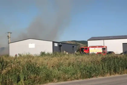 video incendiu de vegetaie uscat la drambar pompierii din alba iulia intervin