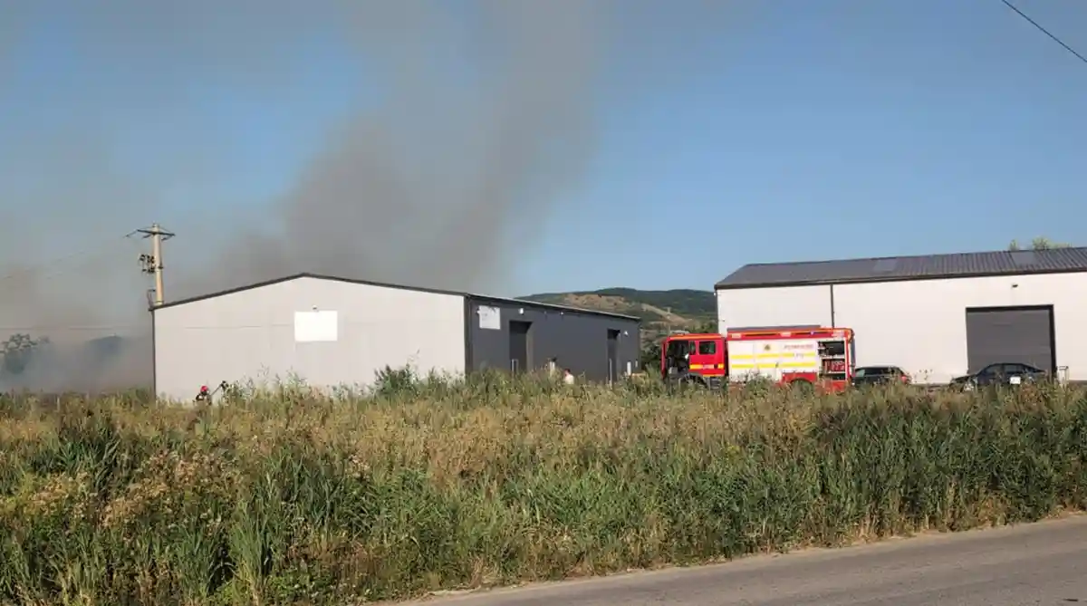 video incendiu de vegetaie uscat la drambar pompierii din alba iulia intervin