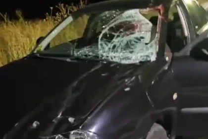 video inevitabilul s a ntamplat calul de pe strada alcala de henares a murit dupa ce a sarit in fata unei masini conduse de un tanar sofer momentul impactului suprins de o camera de bord