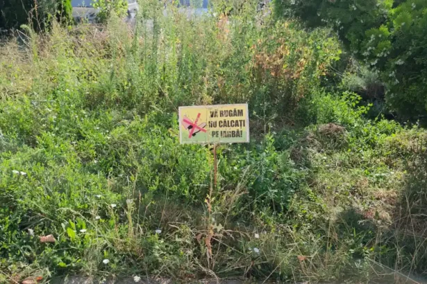 video stirea ta nu calcat i arba iar albaiulienii respecta semnul spatiu verde plin de balarii protejate de un panou al primariei alba iulia