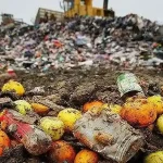 29 septembrie: Ziua conștientizării risipei alimentare. Recomandările DSVSA Alba