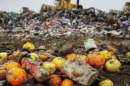 29 septembrie: Ziua conștientizării risipei alimentare. Recomandările DSVSA Alba