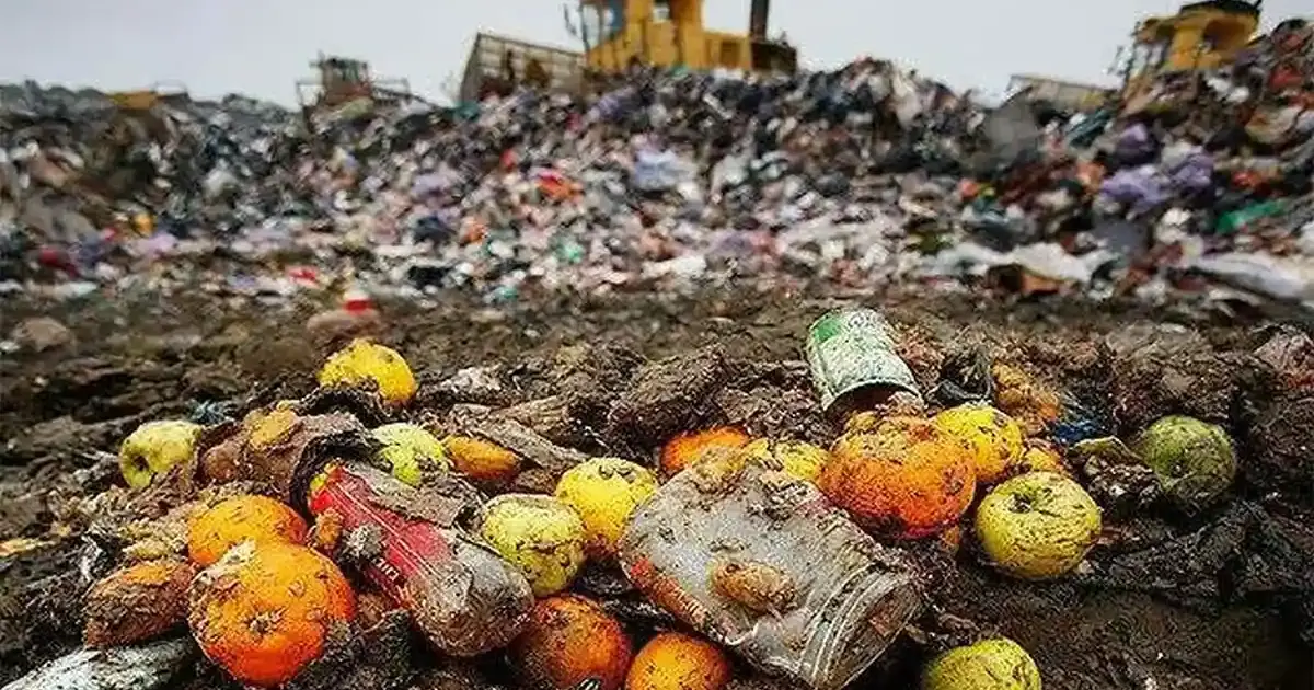 29 septembrie: Ziua conștientizării risipei alimentare. Recomandările DSVSA Alba