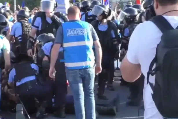 50 de reținuți la protestul oierilor din Piața Victoriei. Reacția ministrului de Interne
