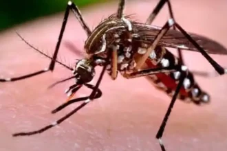 85 de cazuri de West Nile în acest sezon. Decesele, în creștere