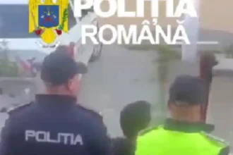 Bărbat din Alba, reținut după ce a furat 130 kg de struguri și a amenințat paznicii