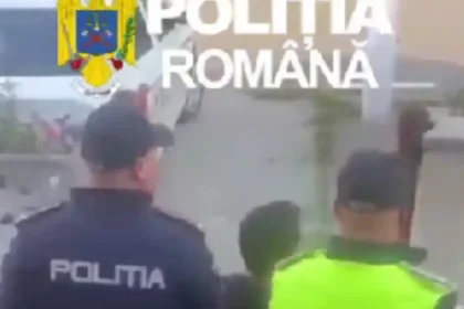 Bărbat din Alba, reținut după ce a furat 130 kg de struguri și a amenințat paznicii