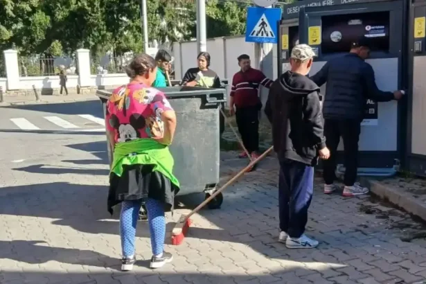 Beneficiarii de ajutor social din Alba Iulia, pe teren pentru curățenia zonelor de deșeuri