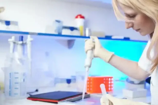 CNAS elimină plafoanele: gratuitate pentru 100 de analize din pachetul de bază