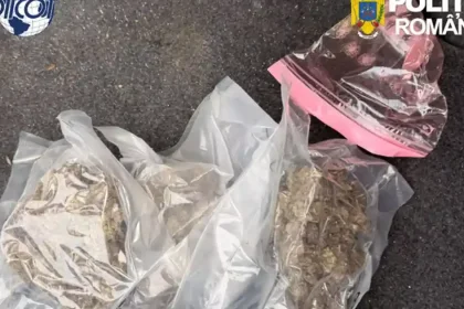 Doi arestați preventiv pentru trafic de droguri în Alba Iulia și Timiș