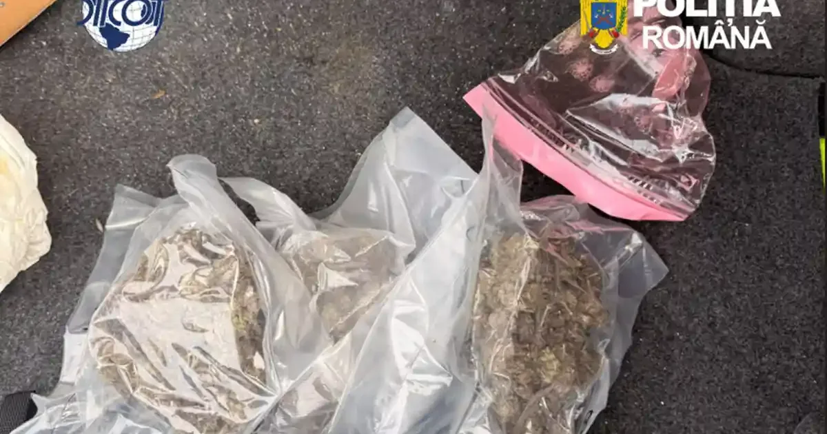 Doi arestați preventiv pentru trafic de droguri în Alba Iulia și Timiș