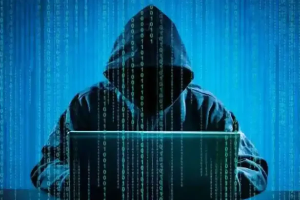 Fraude informatice în Alba: peste 100 de cazuri și 2,5 milioane de lei recuperați