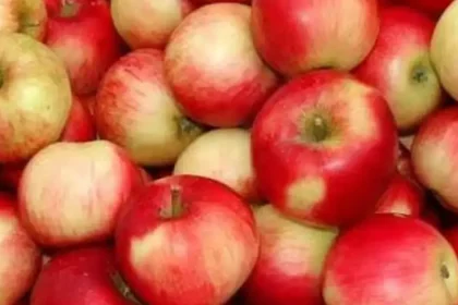 Importanța merelor în alimentația de toamnă: Simple, dar bogate în fibre