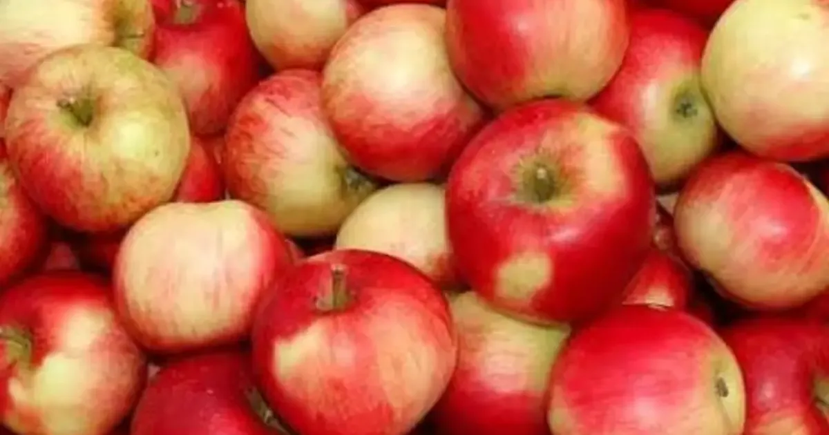 Importanța merelor în alimentația de toamnă: Simple, dar bogate în fibre
