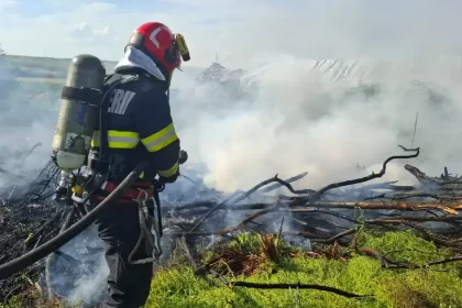 Incendiu de vegetație la Răchita: pompierii din Sebeș intervin