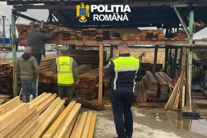Șapte percheziții în Apuseni, într-un dosar de infracțiuni silvice