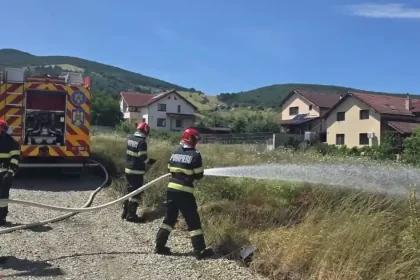 11 incendii de vegetație în circa șapte ore în județul vecin: care sunt cauzele probabile