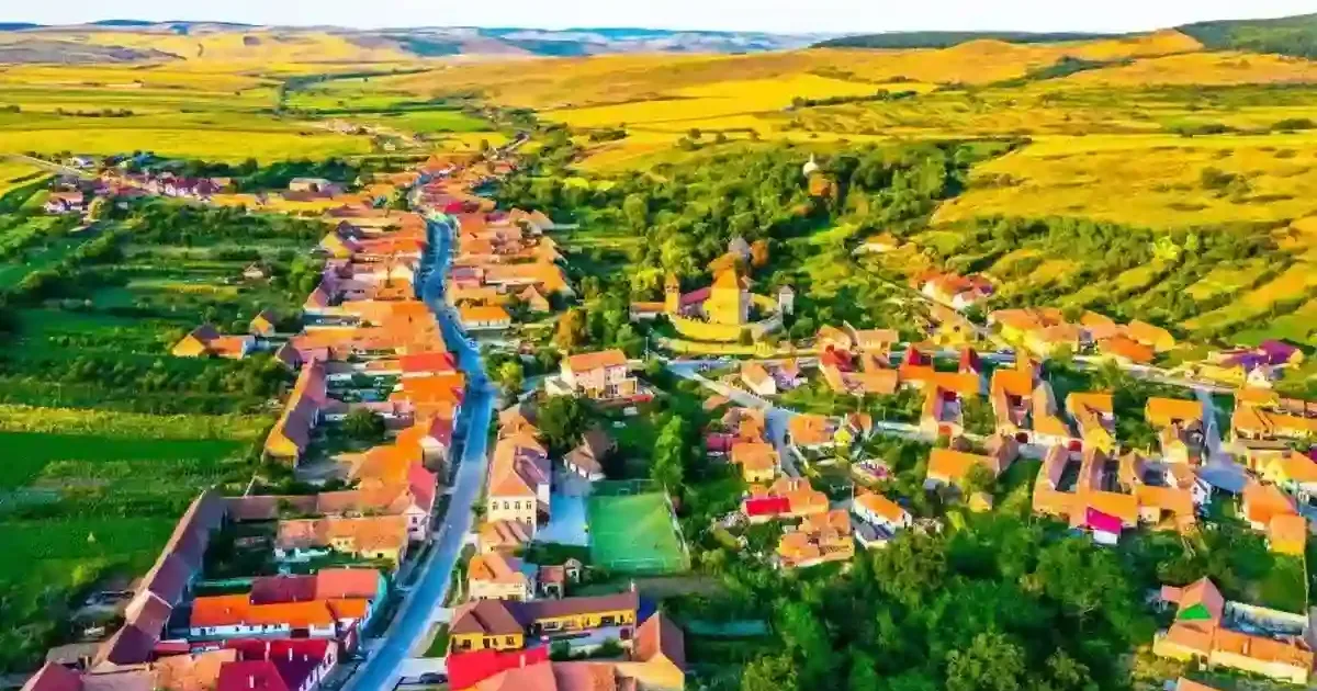 4 milioane de lei pentru drumul spre Adăpostul de câini din Câlnic