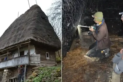 Cercetări dendrocronologice la casele cu acoperiș de paie din Întregalde