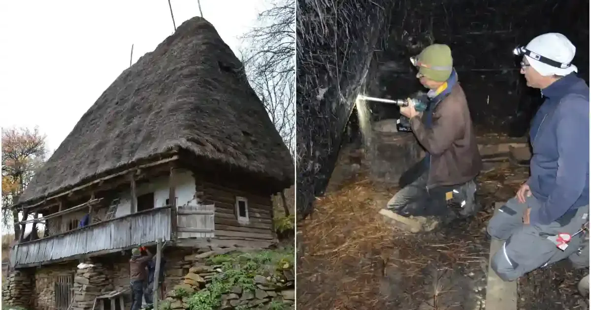 Cercetări dendrocronologice la casele cu acoperiș de paie din Întregalde