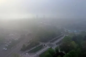 Cod galben de ceață în Alba: vizibilitate sub 200 m local și sub 50 m izolat