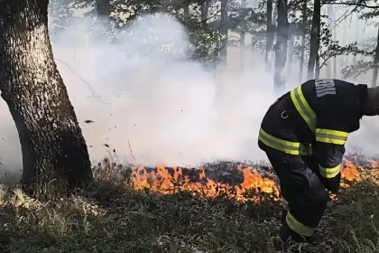 Incendiu în Răchita, Săsciori: focul arde în litiera pădurii