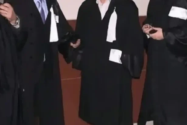 Proiect: toate contractele să treacă pe la avocat. Critici din partea unui avocat